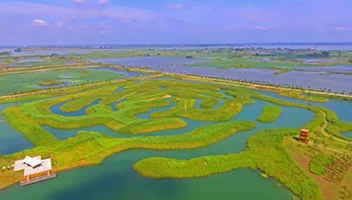 2022世界濕地日 | 江蘇淮安白馬湖國(guó)家濕地公園祝您新春快樂！