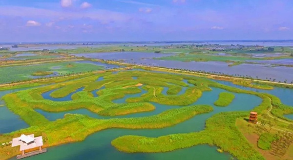 2022世界濕地日 | 江蘇淮安白馬湖國(guó)家濕地公園祝您新春快樂！