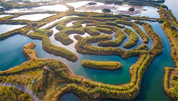 每年栖息鳥類超2萬隻，白馬湖國(guó)家濕地公園多措并舉保護生物多樣(yàng)性