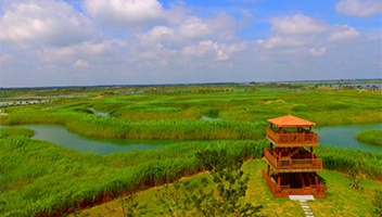 【景區風采】白馬湖國(guó)家濕地公園、裡(lǐ)運河文化長(cháng)廊入選省紅色旅遊精品線路