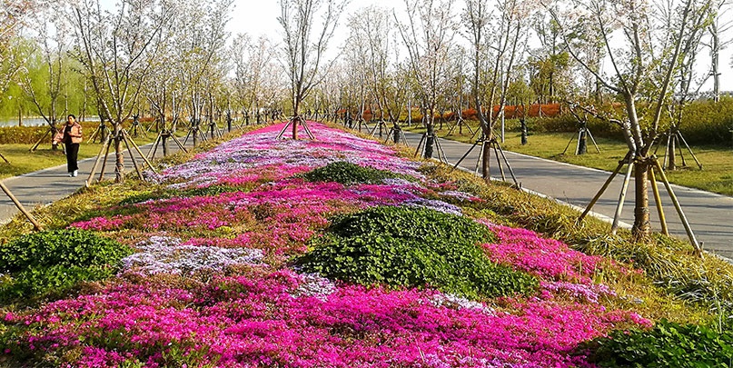 濱河大道(dào)景觀