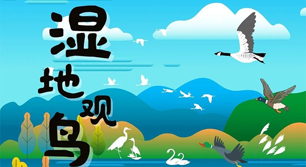 【獨立觀鳥一日營】走進(jìn)白馬湖濕地，一起(qǐ)來探尋鳥兒的秘密