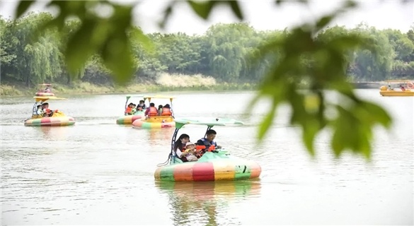 騎矮馬、開(kāi)卡丁車、觀孔雀開(kāi)屏……淮安白馬湖成(chéng)了歡樂海洋