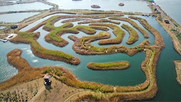 【景區風采】白馬湖國(guó)家濕地公園成(chéng)功入選淮安市研學(xué)旅行實踐教育基地