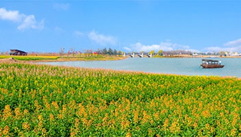 向(xiàng)日葵的故事(shì)景區入選我市首批“鄉村休閑旅遊農業示範點”