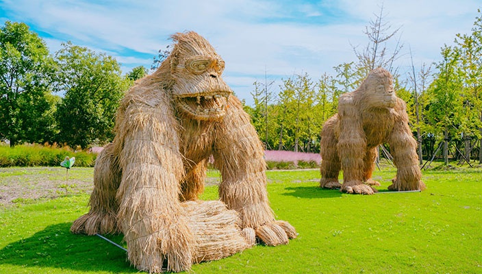 白馬湖稻草人展歡樂開(kāi)幕